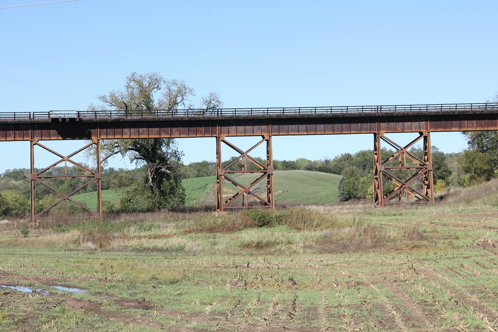Center of viaduct